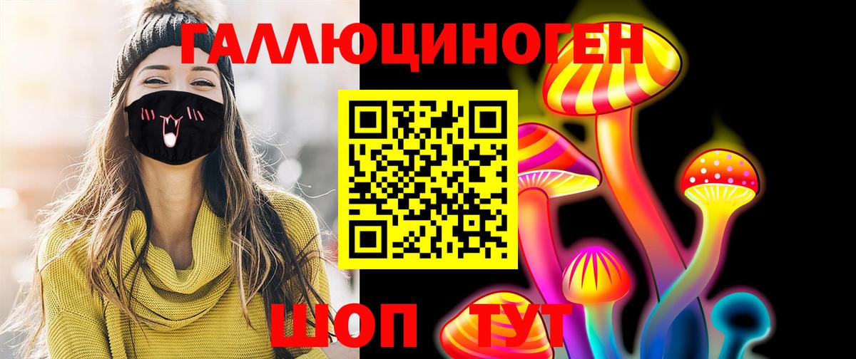 Псилоцибиновые грибы Psilocybe Избербаш
