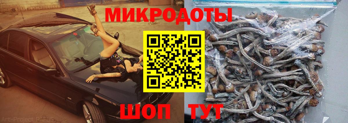 Псилоцибиновые грибы мицелий Избербаш